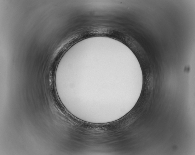 X0000115000731200911161536