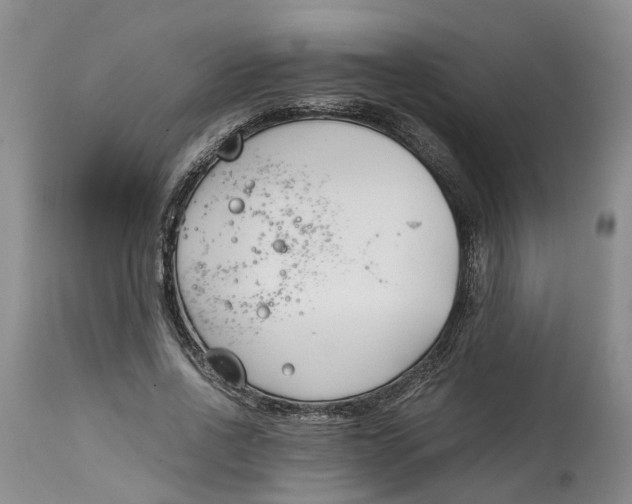 X0000115000734200911161536