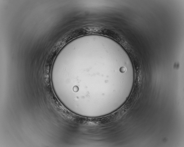 X0000115000737200911161536