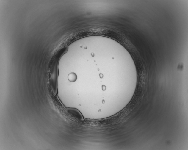 X0000115000738200911161536