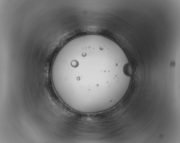 X0000115000739200911161536