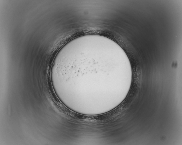 X0000115000742200911161536