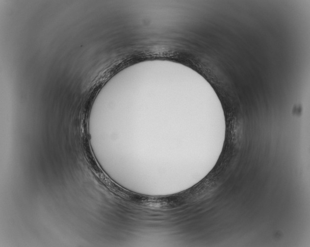 X0000115000746200911161537