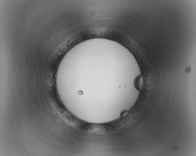 X0000115000750200911161537