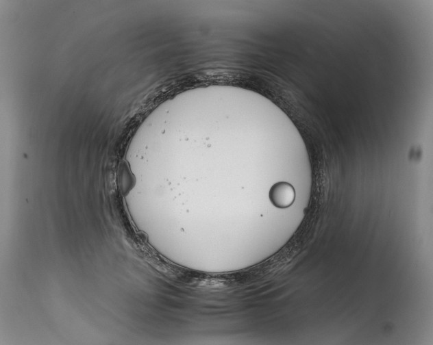 X0000115000751200911161537