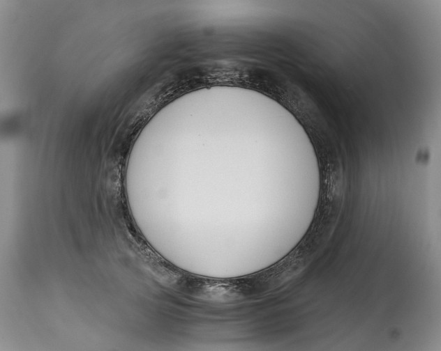 X0000115000753200911161537