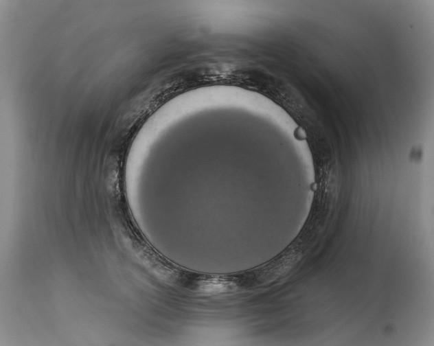 X0000115000754200911161537