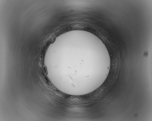 X0000115000755200911161537