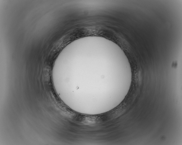 X0000115000757200911161537