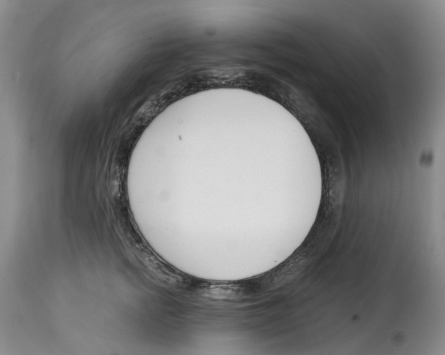 X0000115000758200911161537