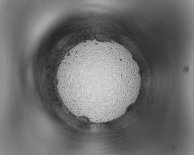 X0000115000762200911161537