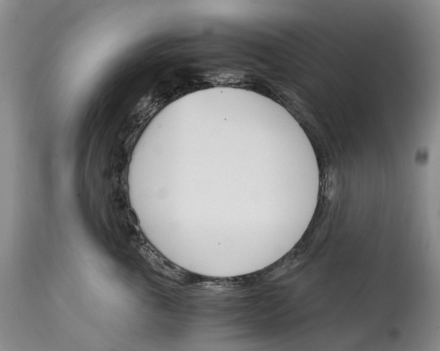 X0000115000763200911161537