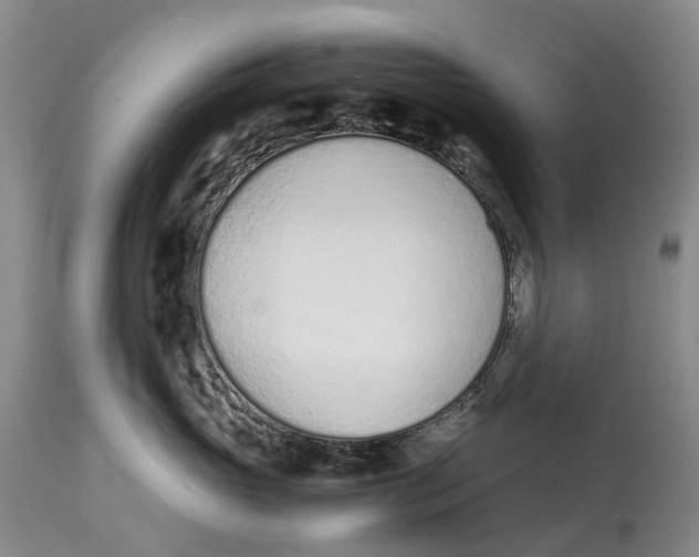 X0000115000765200911161537