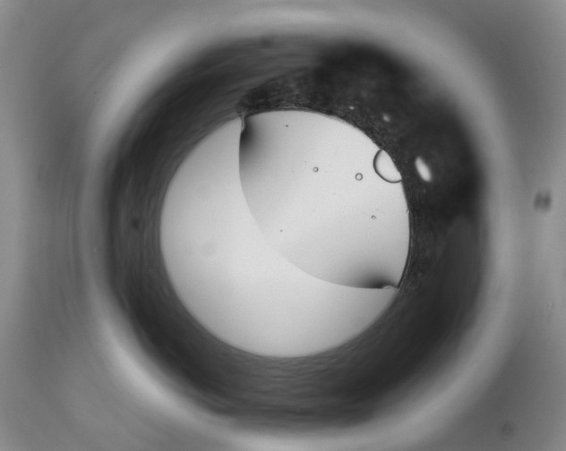 X0000115000766200911161537