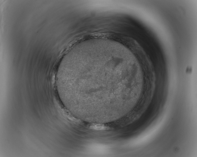 X0000115000767200911161537