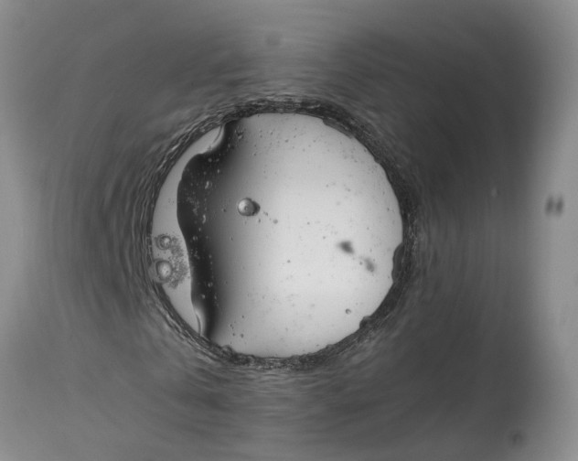 X0000115000769200911161536