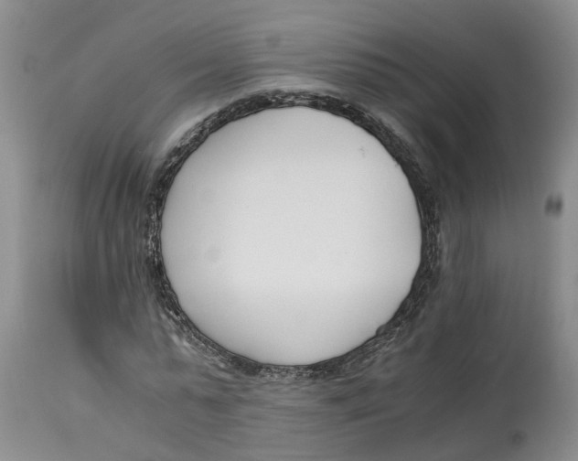 X0000115000775200911161536