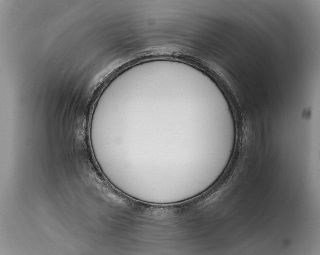 X0000115000778200911161536