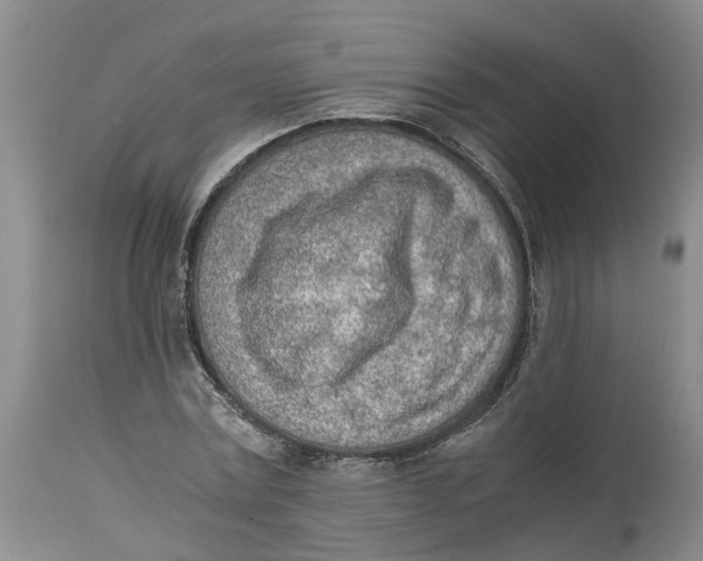 X0000115000779200911161536