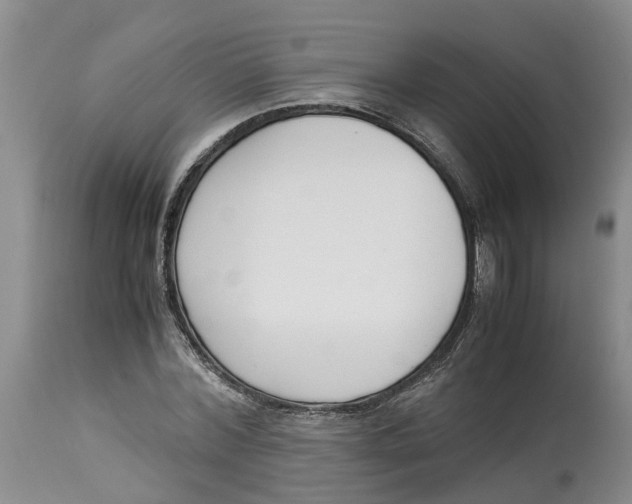 X0000115000780200911161536