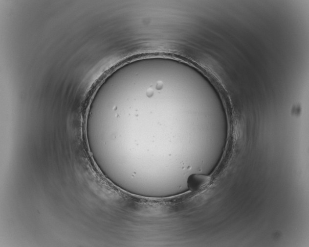 X0000115000781200911161536