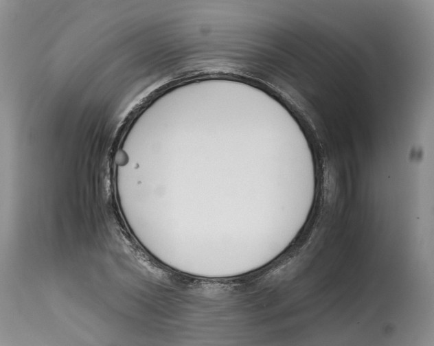 X0000115000782200911161536