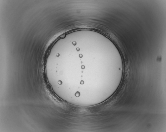 X0000115000787200911161536