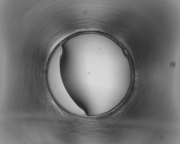 X0000115000789200911161536