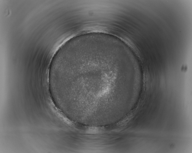 X0000115000790200911161536