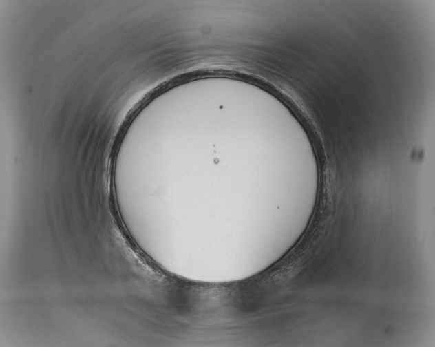 X0000115000791200911161536