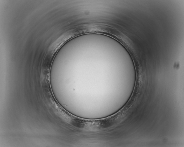 X0000115000793200911161536