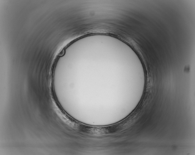 X0000115000795200911161536