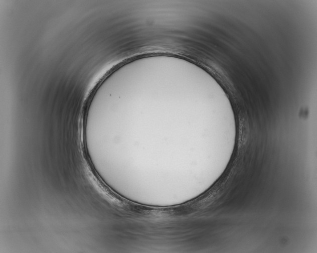 X0000115000796200911161536