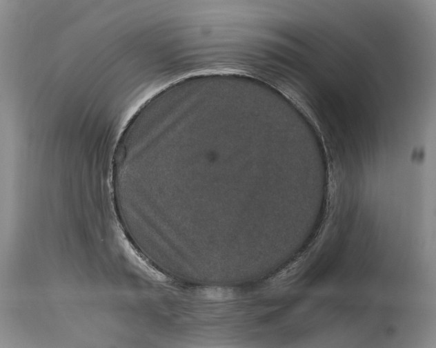 X0000115000797200911161536