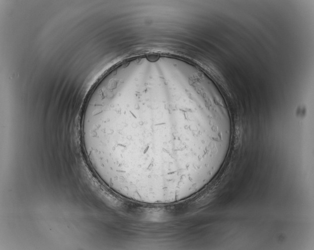 X0000115000798200911161536