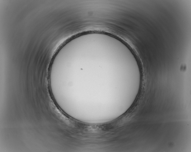 X0000115000799200911161536