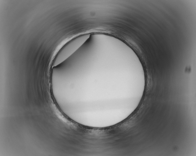 X0000115000800200911161536