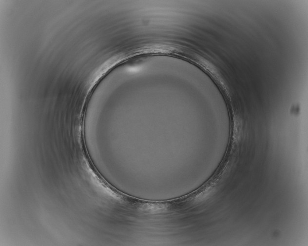 X0000115000802200911161536