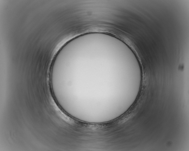 X0000115000803200911161536