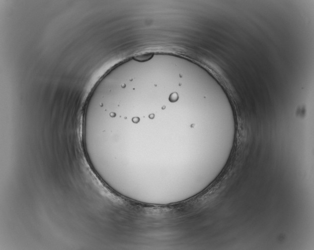 X0000115000804200911161535