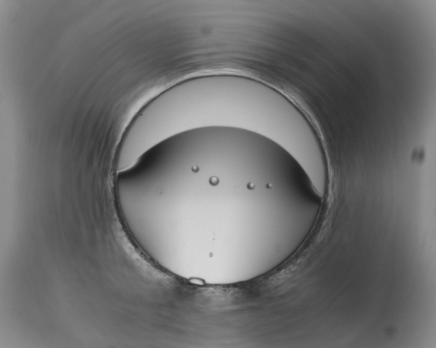 X0000115000805200911161535