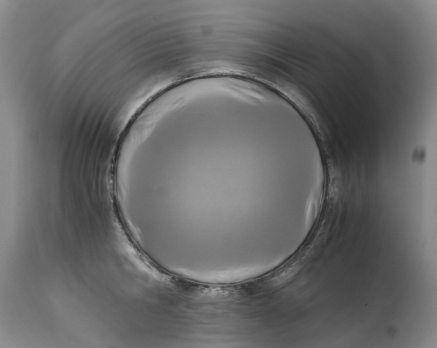 X0000115000806200911161535