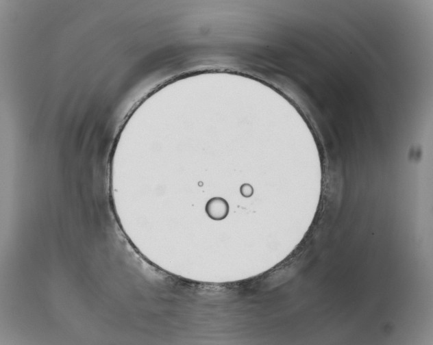 X0000115000807200911161535