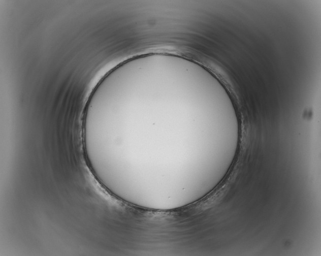 X0000115000808200911161535