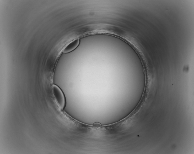 X0000115000809200911161535