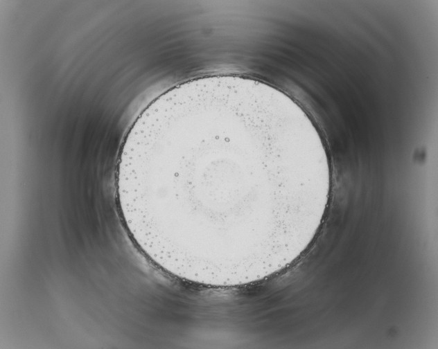 X0000115000810200911161535