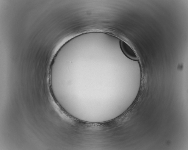 X0000115000811200911161535