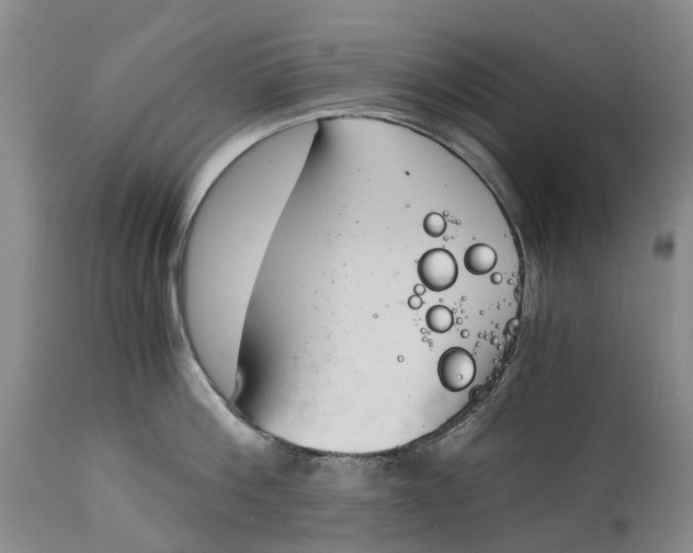 X0000115000812200911161535