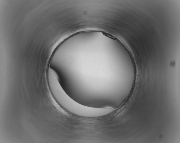 X0000115000813200911161535