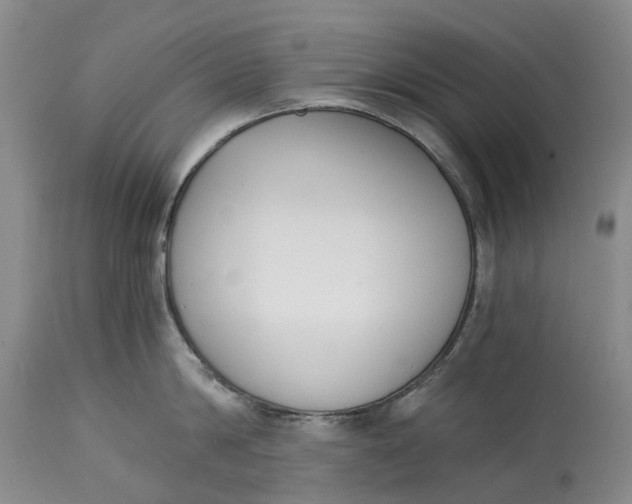 X0000115000814200911161535